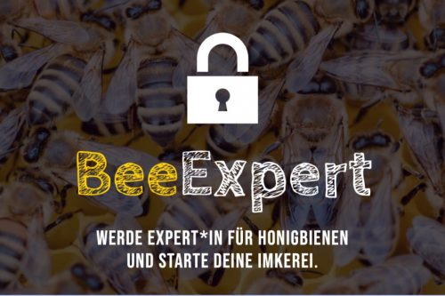 BeeExpert - Bild Kurs geschlossen